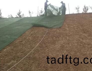 三維(wei)植(zhi)被(bei)網(wang) 三(san)維(wei)植被(bei)網