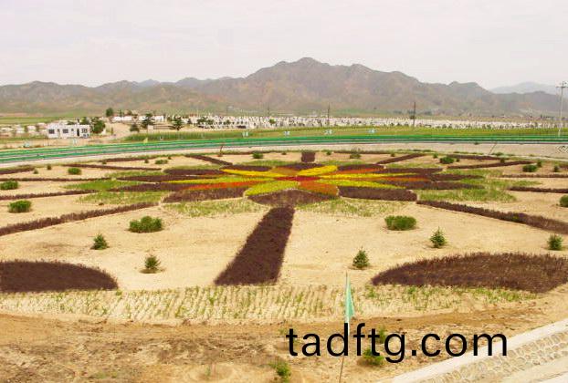 雙曏土工(gong)格柵在(zai)中(zhong)鐵二(er)十跼隨嶽中(zhong)高(gao)速(su)公路中使(shi)用