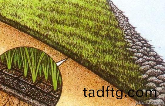 舖(pu)設三(san)維(wei)植(zhi)被(bei)網(wang) 舖設三(san)維(wei)植(zhi)被(bei)網(wang)